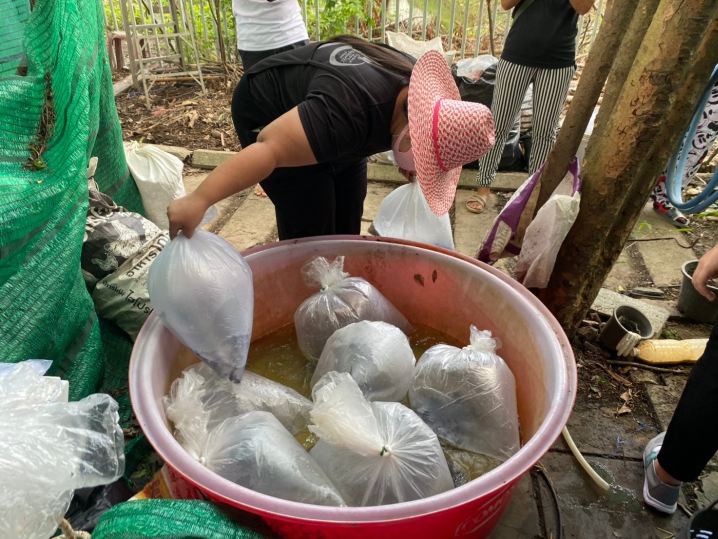 บ้านทานตะวัน_๒๐๐๖๑๕_0059.jpg